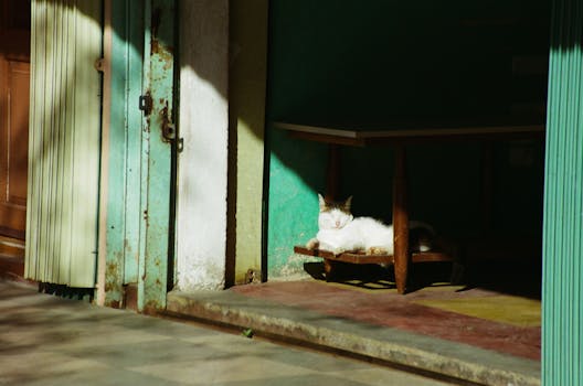 Unlock VIP Status and Earn Exclusive Rewards Now